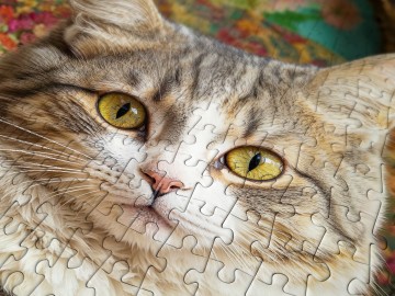 Enjoy Puzzle - Cat in Bloom - 1000 Stukjes 4
