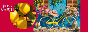 CherryPazzi - Lemon Bike - 1000 Stukjes 6