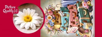 CherryPazzi - Ready to Go! - 1000 Stukjes 5