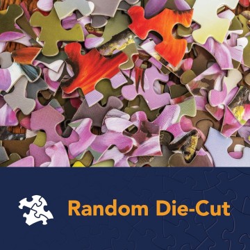 Bits and Pieces - Country Fun - 4 x 1000 Stukjes 4