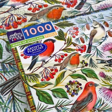 EeBoo - Birds of Scotland - 1000 Stukjes 4