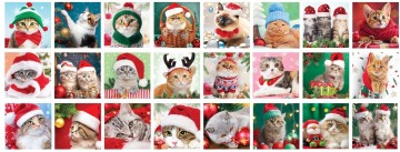 Eurographics - Advent Calendar - Christmas Whiskers - 24 x 50 Stukjes 4