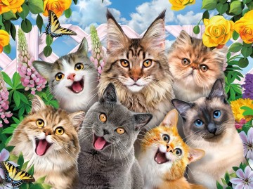 Ceaco - Feline Friends Selfies - 550 Stukjes