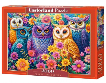 Castorland - Flower Owl Meeting - 3000 Stukjes 2