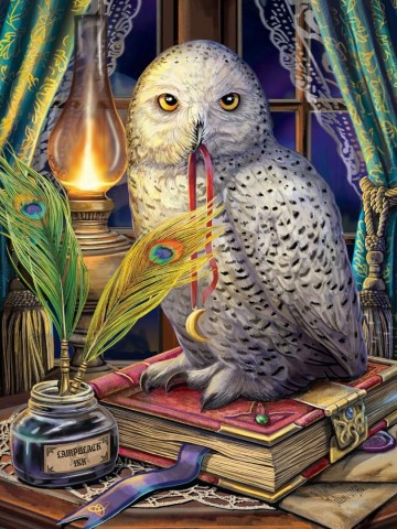 Ceaco - Guardians of Spell Glow in the Dark - 750 Stukjes