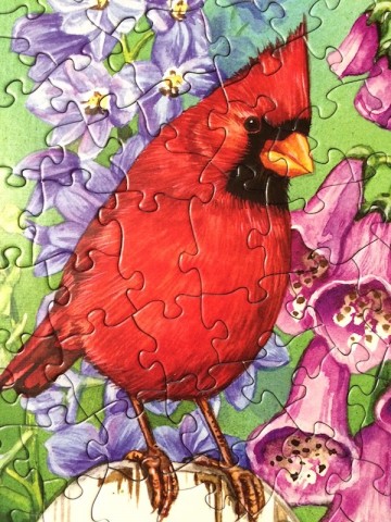 Cobble Hill - Picket Fence Party - 275 XL Stukjes Voorbeeld