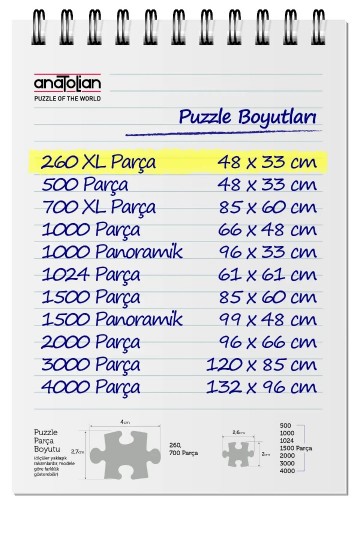 Anatolian - Pirate Cove - 260 XL Stukjes 3