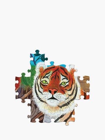 EeBoo - Planet Earth - 1000 Stukjes 4