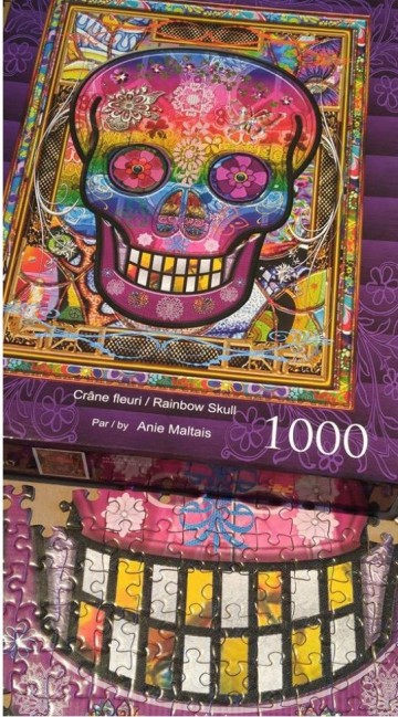 JaCaRou Puzzle - Rainbow Skull - 1000 Stukjes 2