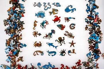 Davici - Red Shrimp - 165 Stukjes 5