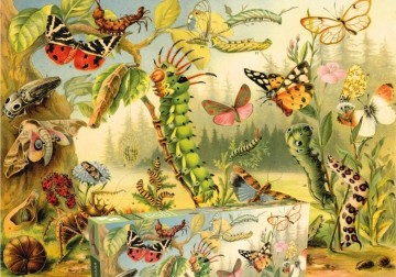 Penny Puzzle - Wonders of Nature - 1000 Stukjes